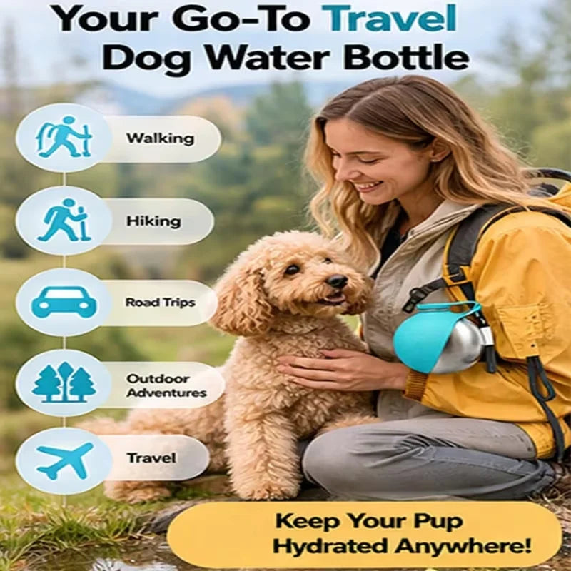 Stainless steel pet water bottle/plastic pet water bottle, outdoor preparation with pink and blue foldable bowls,