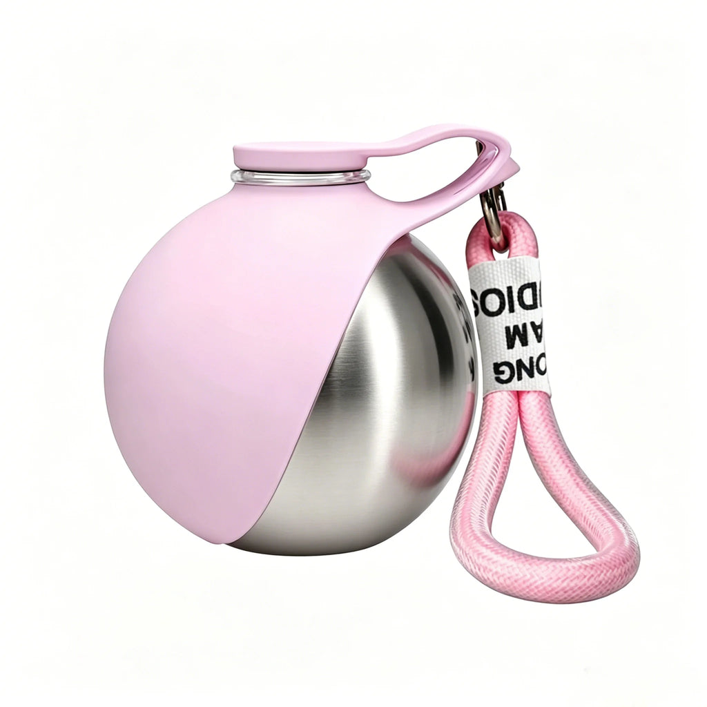 Stainless steel pet water bottle/plastic pet water bottle, outdoor preparation with pink and blue foldable bowls,
