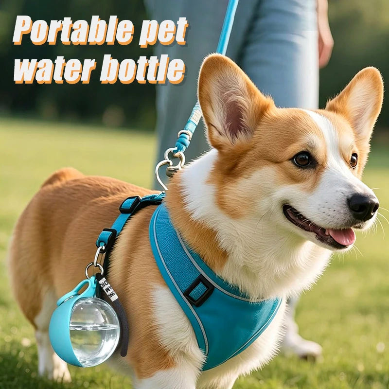 Stainless steel pet water bottle/plastic pet water bottle, outdoor preparation with pink and blue foldable bowls,